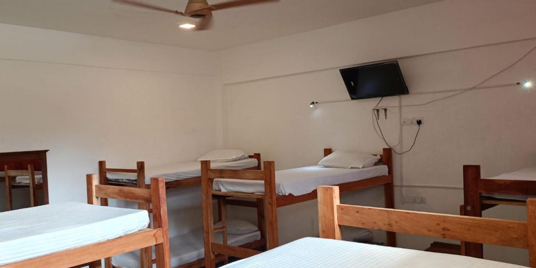 פוטוביל Funky Monkey Hostel & Yoga Rooftop Lounge , Arugambay מראה חיצוני תמונה